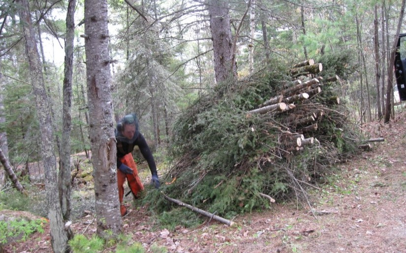 Brush Disposal Sites - St. Louis County, MN