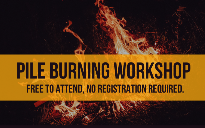 Pile Burning Workshop - Ely, MN